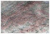 Spider along Layers on Ejecta Blanket
