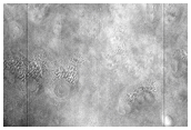 Ridge Near Craters North of Mamers Valles
