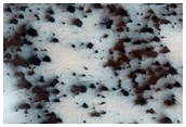 Cryptic Terrain Margin Monitoring in Reynolds Crater
