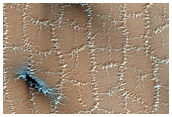 Bright and Dark Seasonal Fans on Patterned Ground
