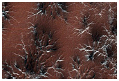 Sublimation at Spider Site
