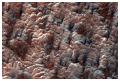 Spider Terrain in Region Dubbed Oswego
