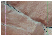 Gully Monitoring
