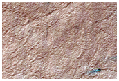 South Polar Terrain
