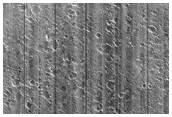 Craters in Chryse Planitia
