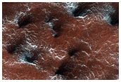 Spider Terrain
