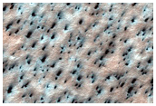 South Polar Terrain
