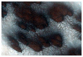 Seasonal Monitoring of Spiders Off South Polar Layered Deposits
