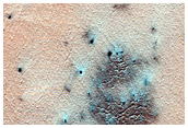 Spider on Ejecta Blanket
