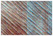 South Polar Terrain
