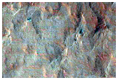 Seasonal Monitoring of Spiders on South Polar Layered Deposits
