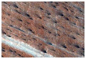 South Polar Terrain
