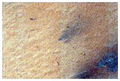 South Polar Terrain
