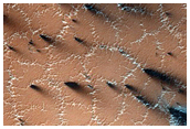 Bright and Dark Fans on Patterned Ground
