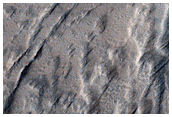 Candidate Recent Impact Site
