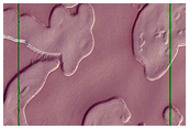 South Polar Residual Cap
