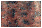 Caterpillar Dune Evolution Monitoring
