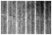Gully Monitoring
