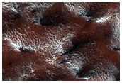 Spider Terrain
