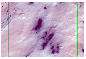 Seasonal Monitoring of Spiders Off South Polar Layered Deposits
