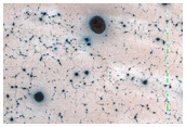 USGS Dune Database Entry Number 0992-761
