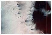 Seasonal Monitoring of Spiders Not on South Polar Layered Deposits
