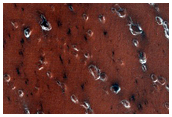 Seasonal Sublimation Process

