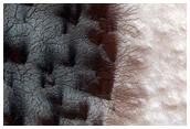 Monitor Seasonal Changes at South Polar Cracked and Gullied Site

