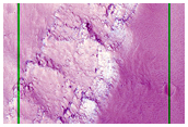 Arsia Chasmata
