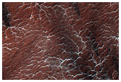 Region Dubbed Manhattan Classic Spider Terrain
