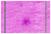 Seasonal Monitoring South of Pityusa Patera
