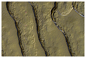 Polar Troughs