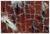 Intricate Patterns