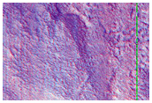 Terrain and Ribbed Terrain Forming in Northern Mid-Latitudes
