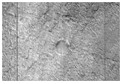 Acidalia Planitia Sample
