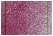 Terrain at High Southern Latitude
