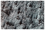 Spider Terrain in Region Dubbed Oswego
