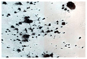 Cryptic Terrain Margin Monitoring in Reynolds Crater
