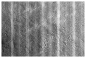 Albedo Monitoring in Arcadia Planitia
