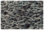South Polar Terrain
