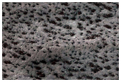 South Polar Surface Textures
