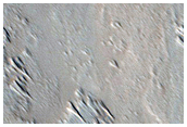 Monitoring New Impact Site

