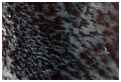USGS Dune Database Entry Number 1544-786
