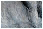 Tempe Terra Lobate Features
