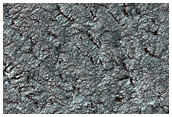 Cryptic Terrain Evolution 
