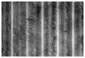Utopia Planitia
