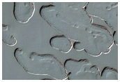 South Polar Residual Cap Monitoring
