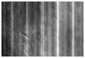 Northern Plains Sample
