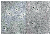 Monitoring Spiders Inside South Polar Layered Deposits
