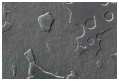 Terrain Sample
